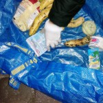 In großen Plastiktüten verstauen die Mülltaucher ihre Beute. Handschuhe wie hier im Bild kommen dabei selten zum Einsatz.