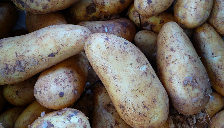 Kartoffeln von 3268zauber (Eigenes Werk) [CC-BY-SA-3.0 (http://creativecommons.org/licenses/by-sa/3.0)], via Wikimedia Commons